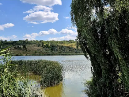 Lacul Orășenesc (Bălți)