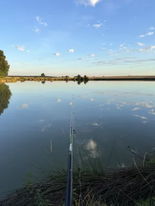 Herrnweiher (Hammerbach)
