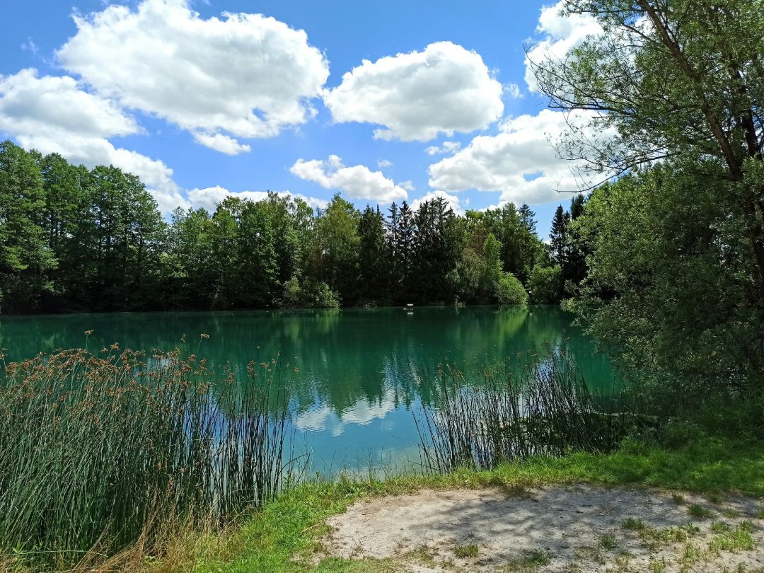 Hermannweiher (Königsbrunn) angeln