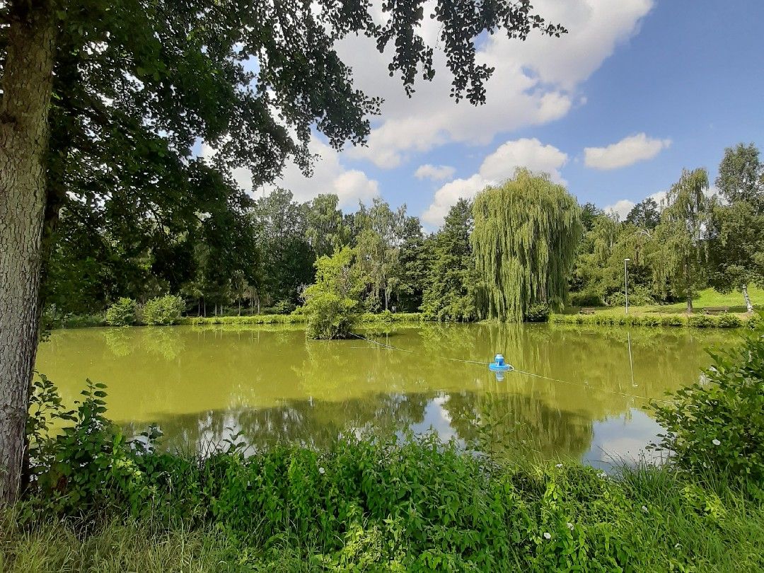 Bahndammweiher Gründau angeln