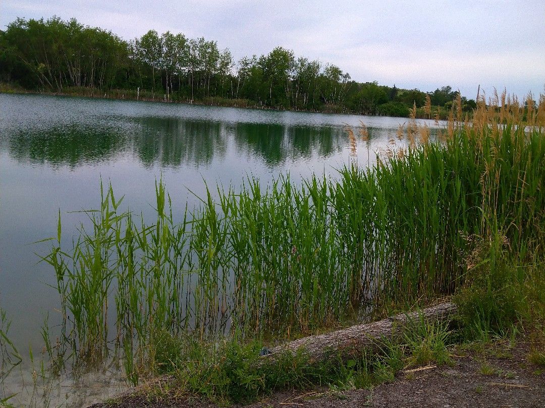 Baggersee Holzhausen (Leipzig) angeln