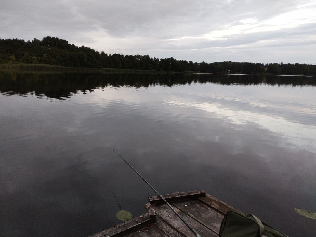 Weisiner See angeln