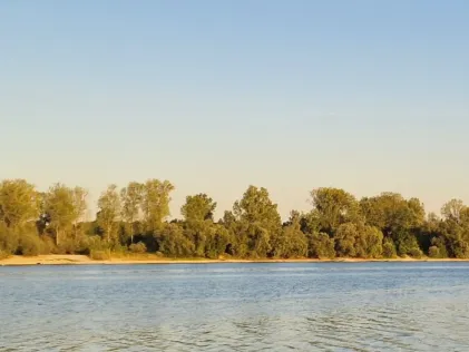 Beinheimer See