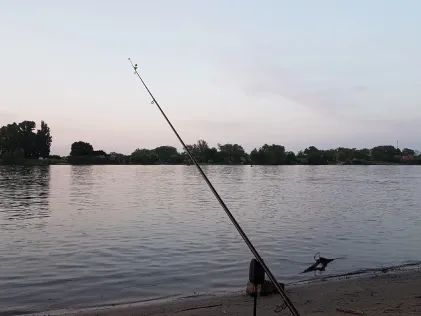 Rhein (Nierstein)