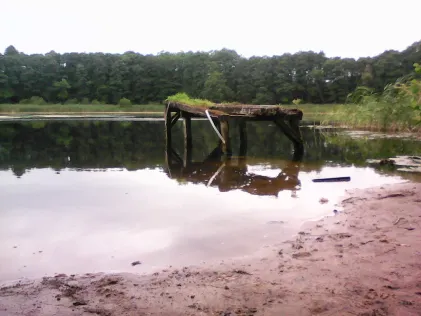 Viersee (Bützow)