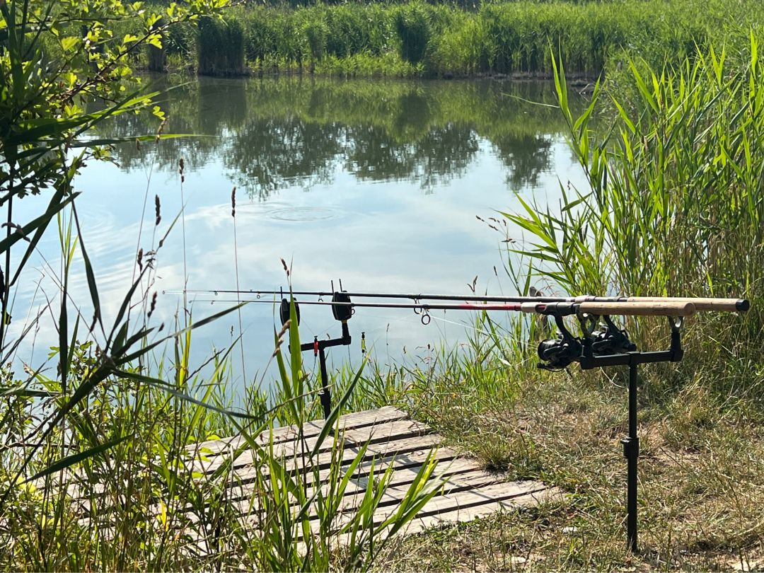 Rost's Loch (Lieskau) angeln