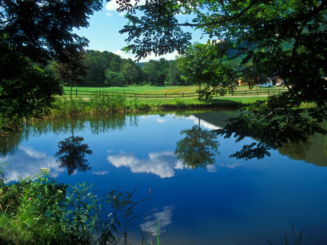 Silbersee (Wigggensbach) angeln