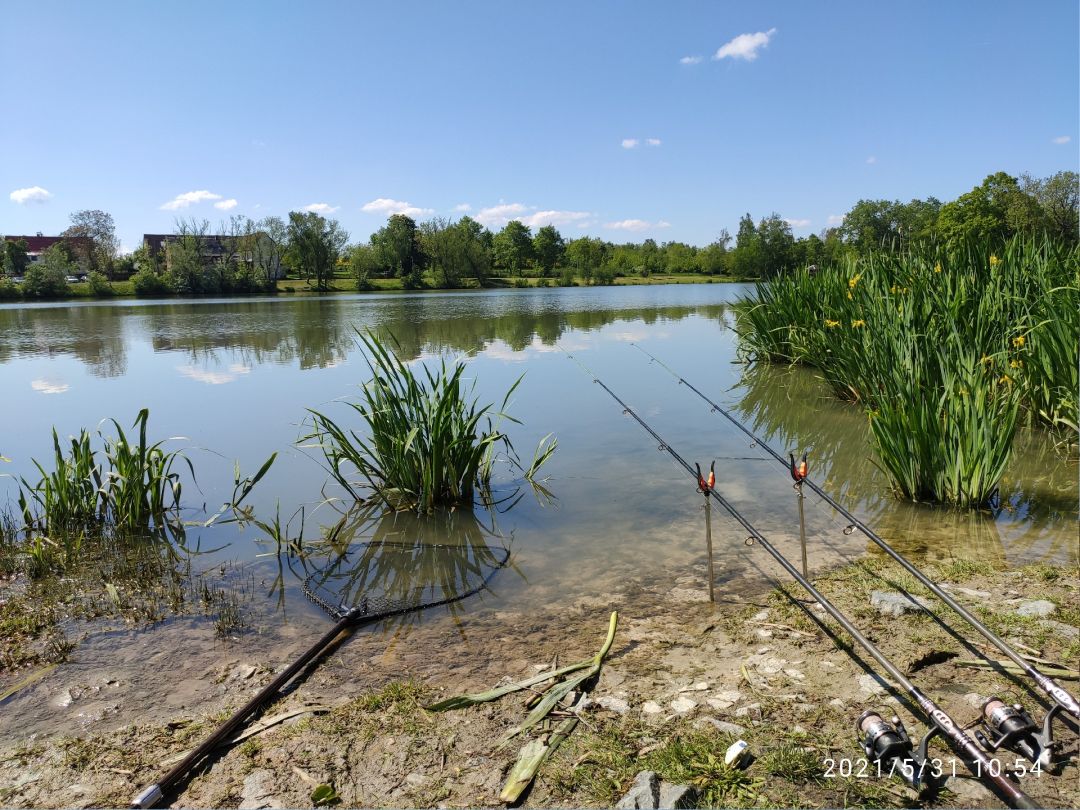 Raitzhainer Teich angeln