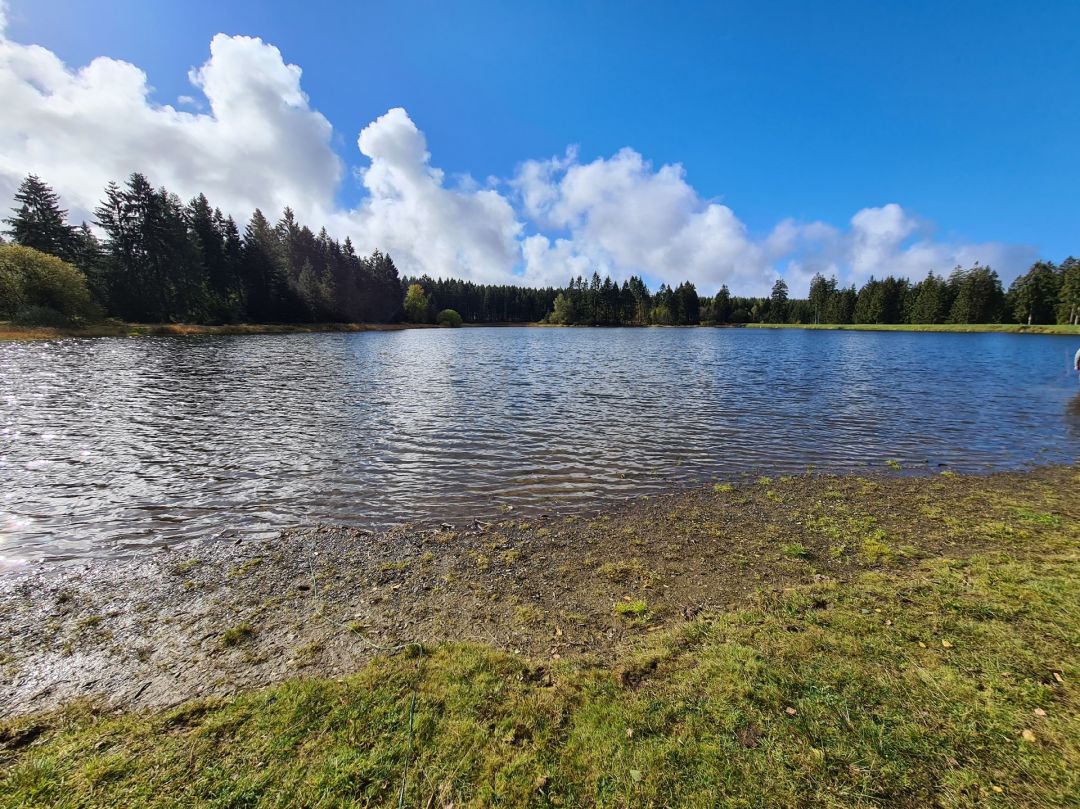 Kiefhölzer Teich angeln