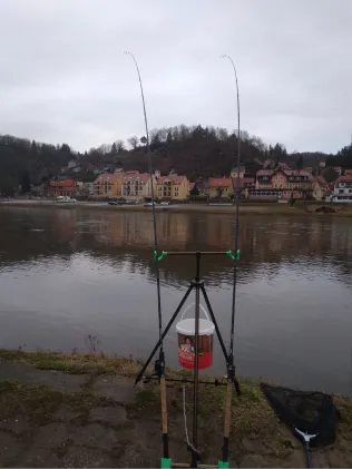 Elbe (Stadt Wehlen)
