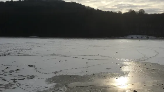 Stausee Bitburg
