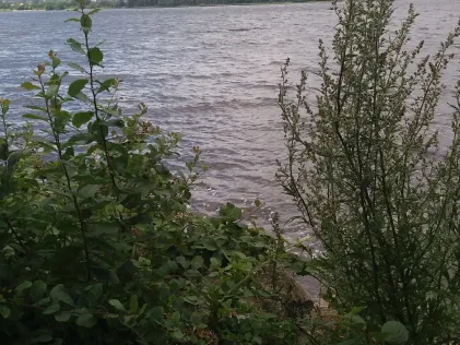 Neustädter Binnenwasser