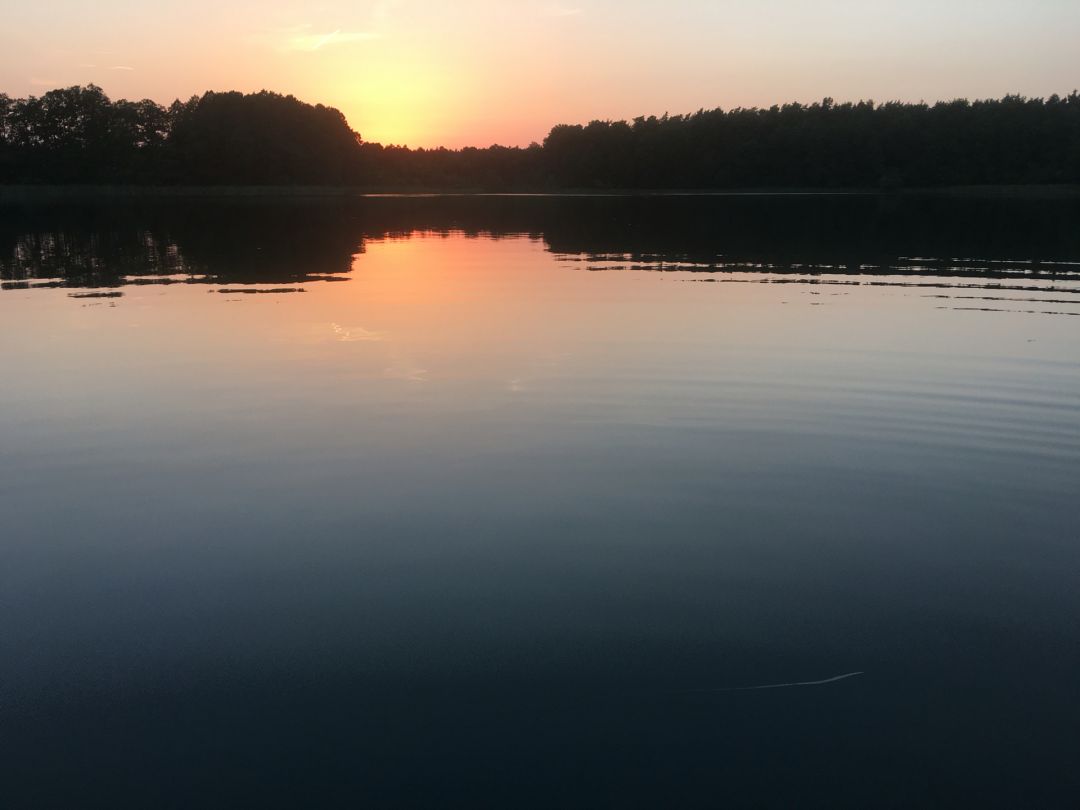 Krüselinsee angeln