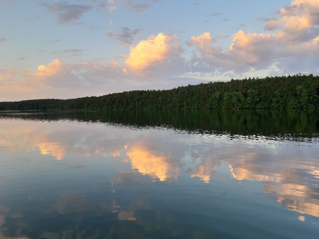 Krüselinsee angeln