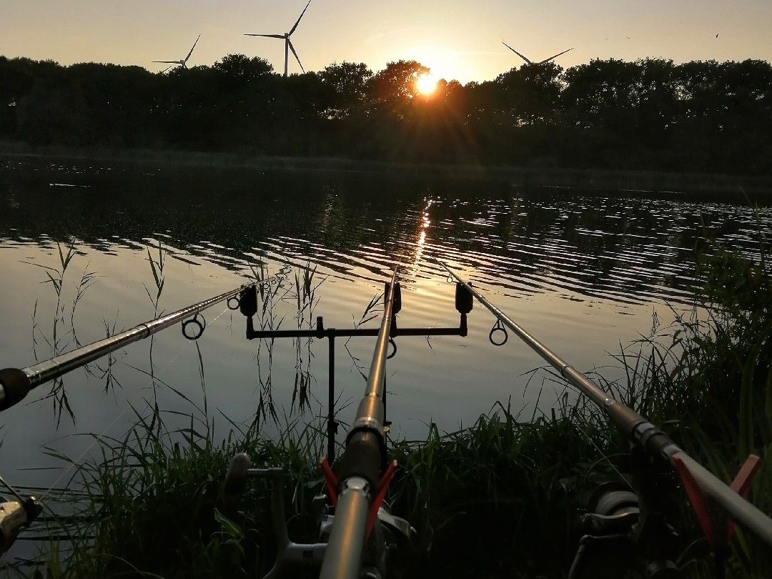 Schalentiner See angeln