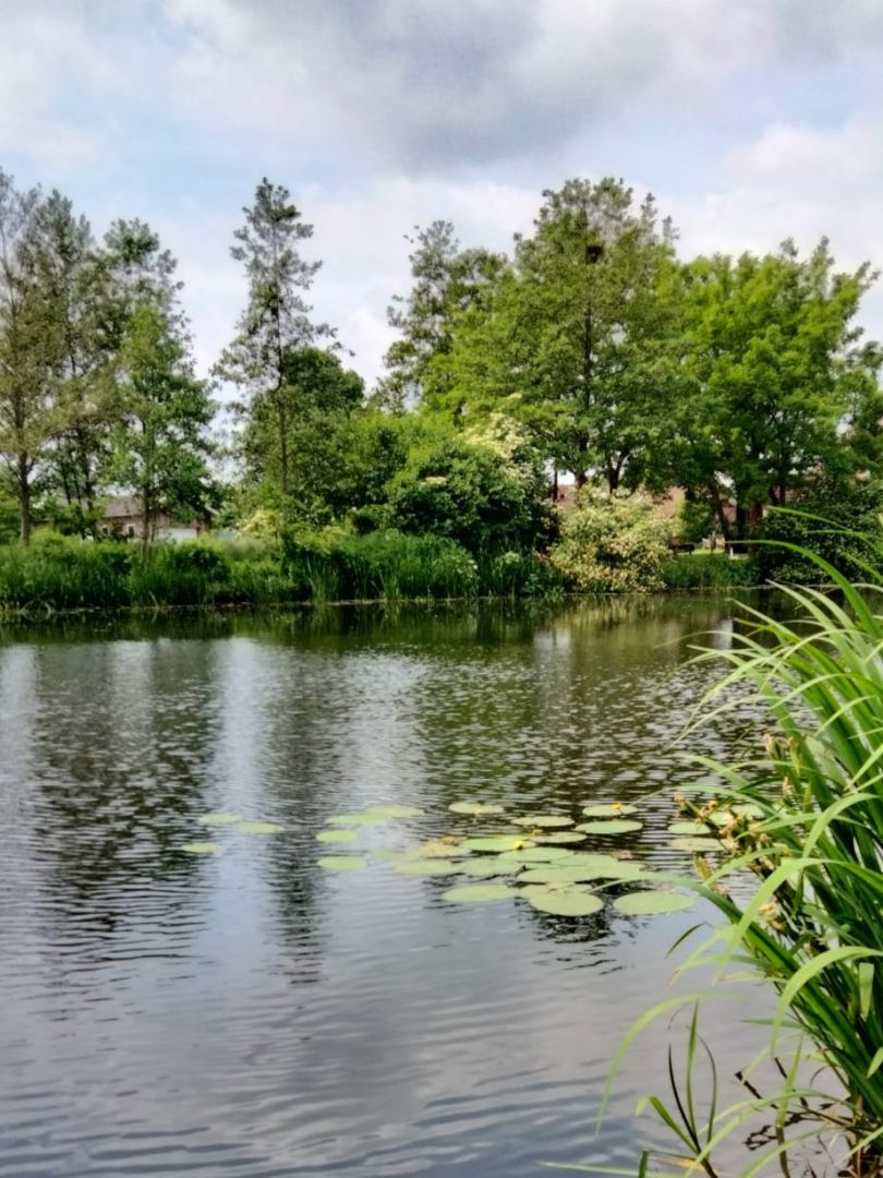 Oude Ijssel (Terborg-Gaanderen) angeln