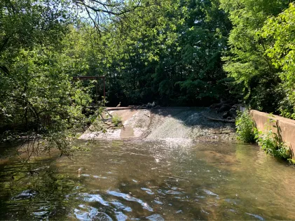 Buchenbach (Winnenden)
