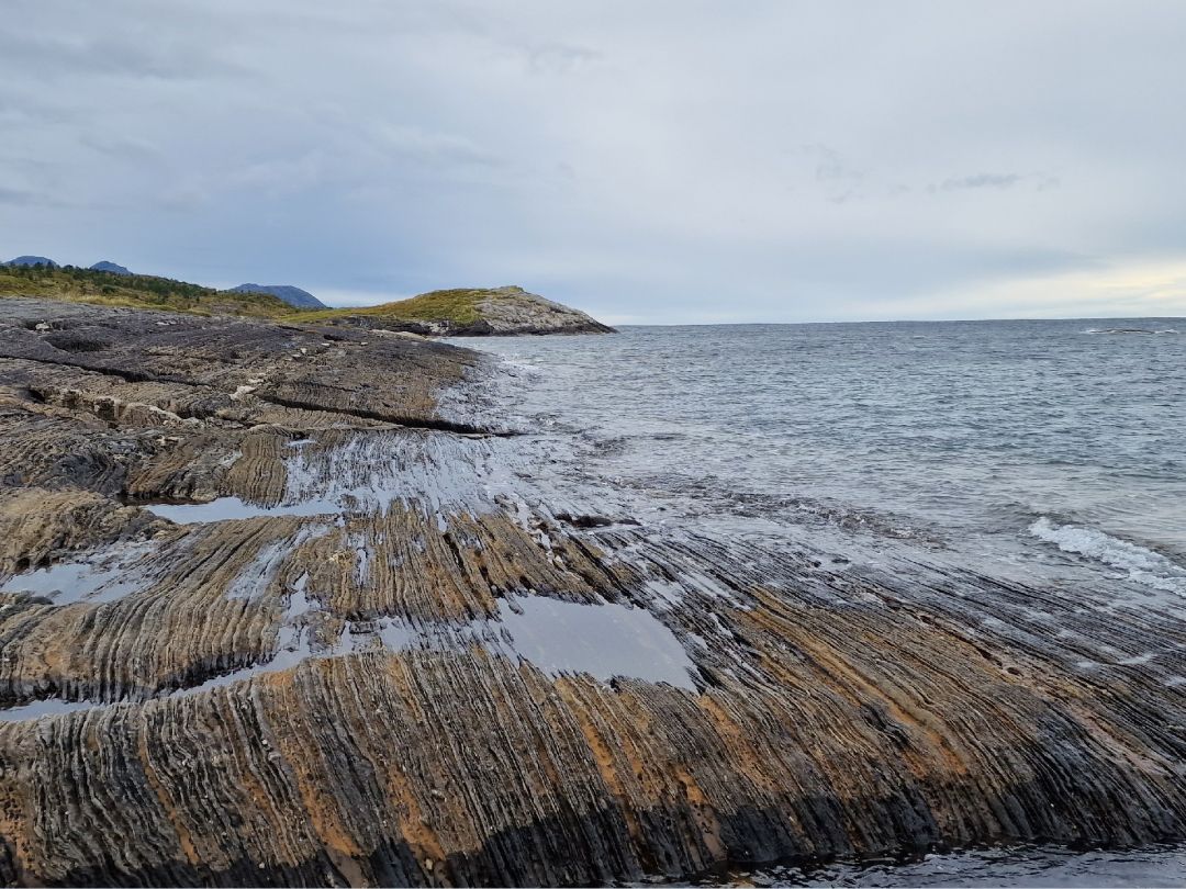 Saltfjorden angeln