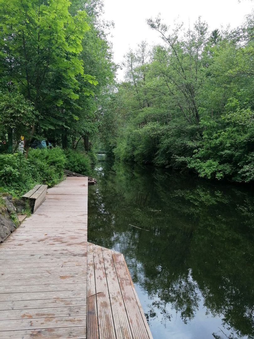 Schaalsee-Kanal (Dargow) angeln