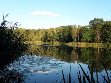 ACA-Teich Dobien