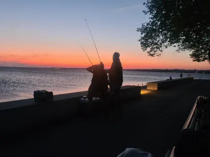 Bodensee (Bregenz)