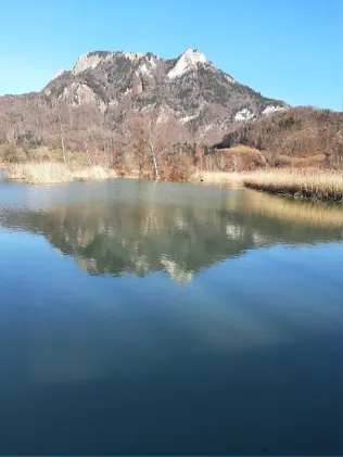 Vogelinsel am Inn (Hafnach)