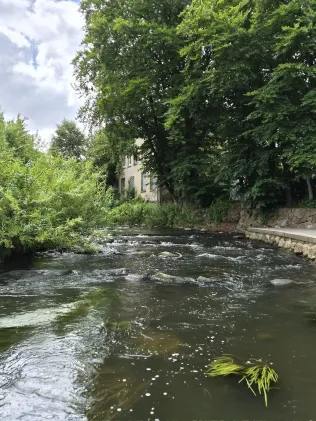 Trave (Bad Oldesloe)