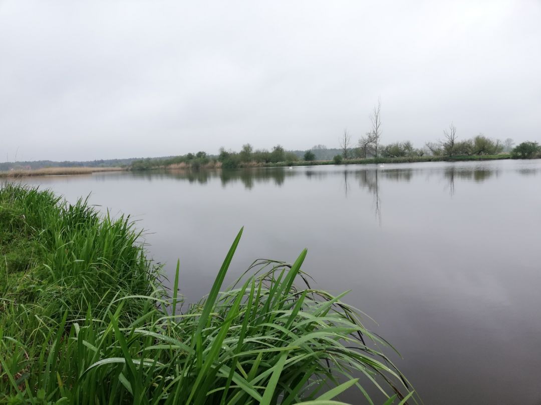 Baggersee Gülze angeln