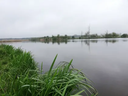 Baggersee Gülze