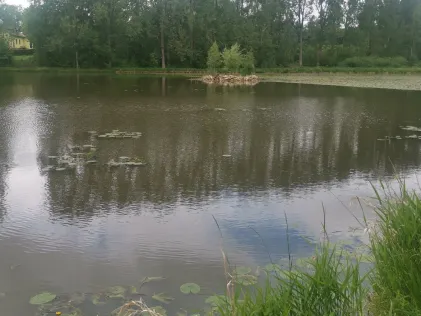 Schwabenweiher (Nennslingen)