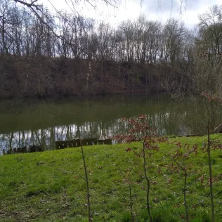 Klusteich (Engar)