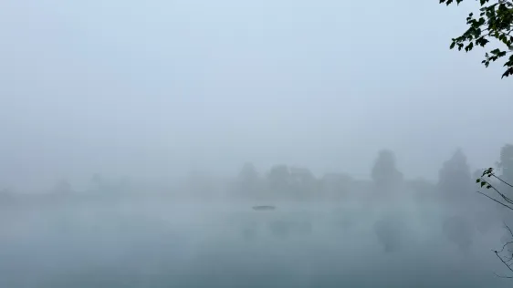 Auwaldsee (Langenwinkel)
