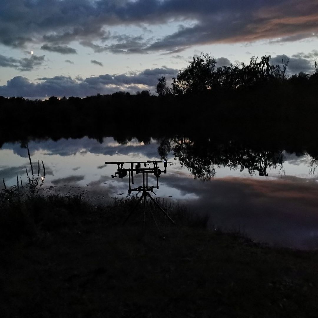 Osterfeldsee (Beverungen) angeln