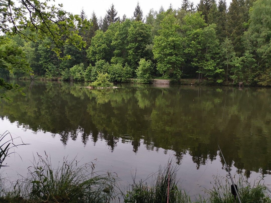 Kressbachsee (Ellwangen) angeln