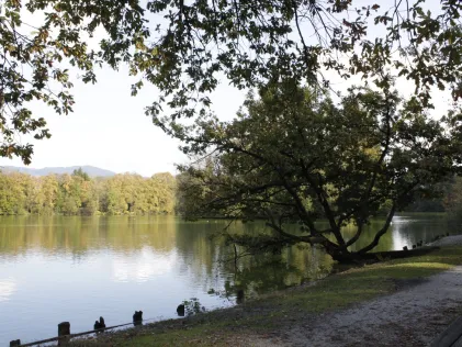 Leopoldskroner Weiher