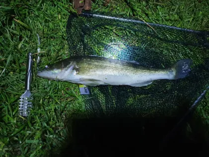 Moddergraben (Stichkanal Klein Köris)