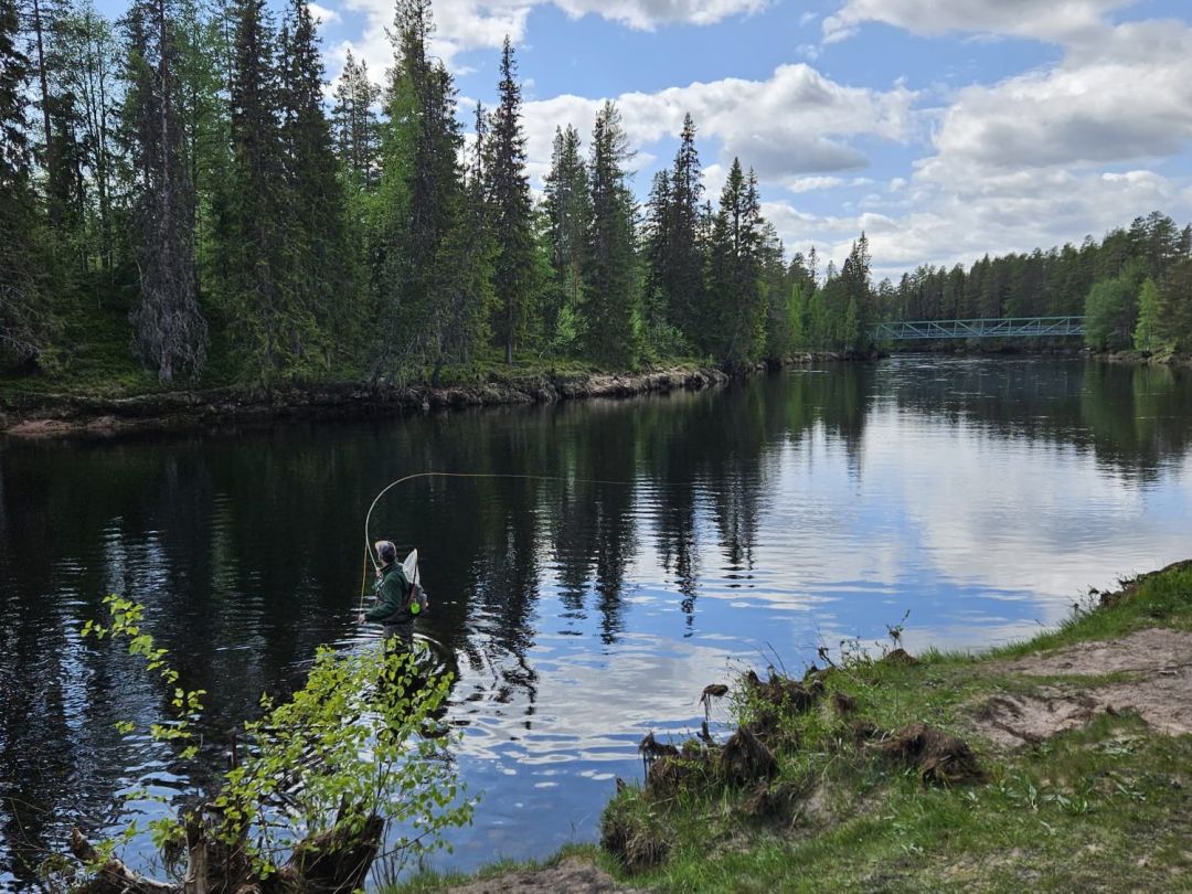 Västerdalälven (Sälen) angeln