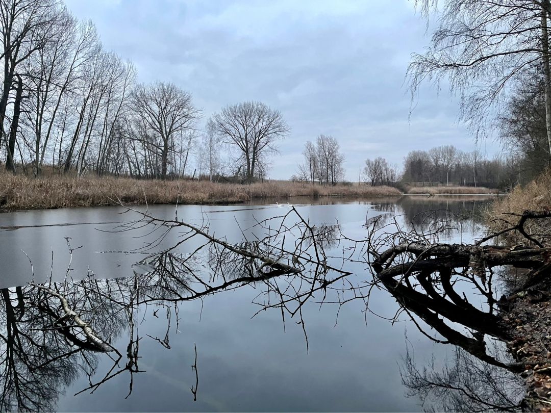 Mariensee (Preußlitz) angeln