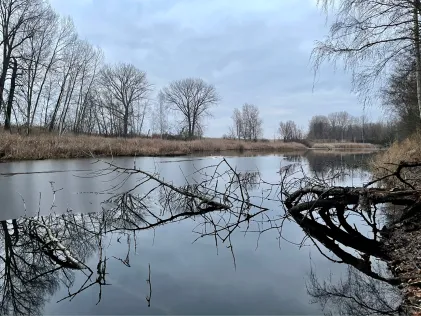 Mariensee (Preußlitz)