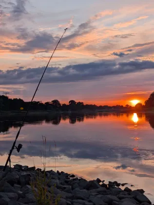 Elbe (Vockerode)