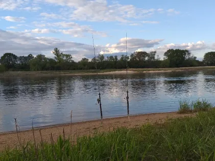 Elbe (Vockerode)