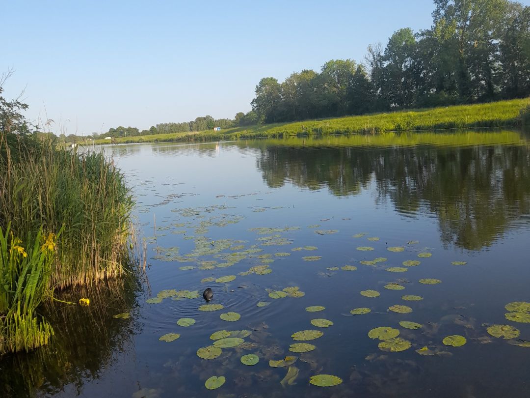 Oude Ijssel (Laag-Keppel) angeln