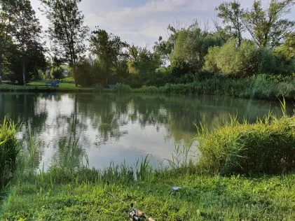 Angelweiher Nieder-Olm