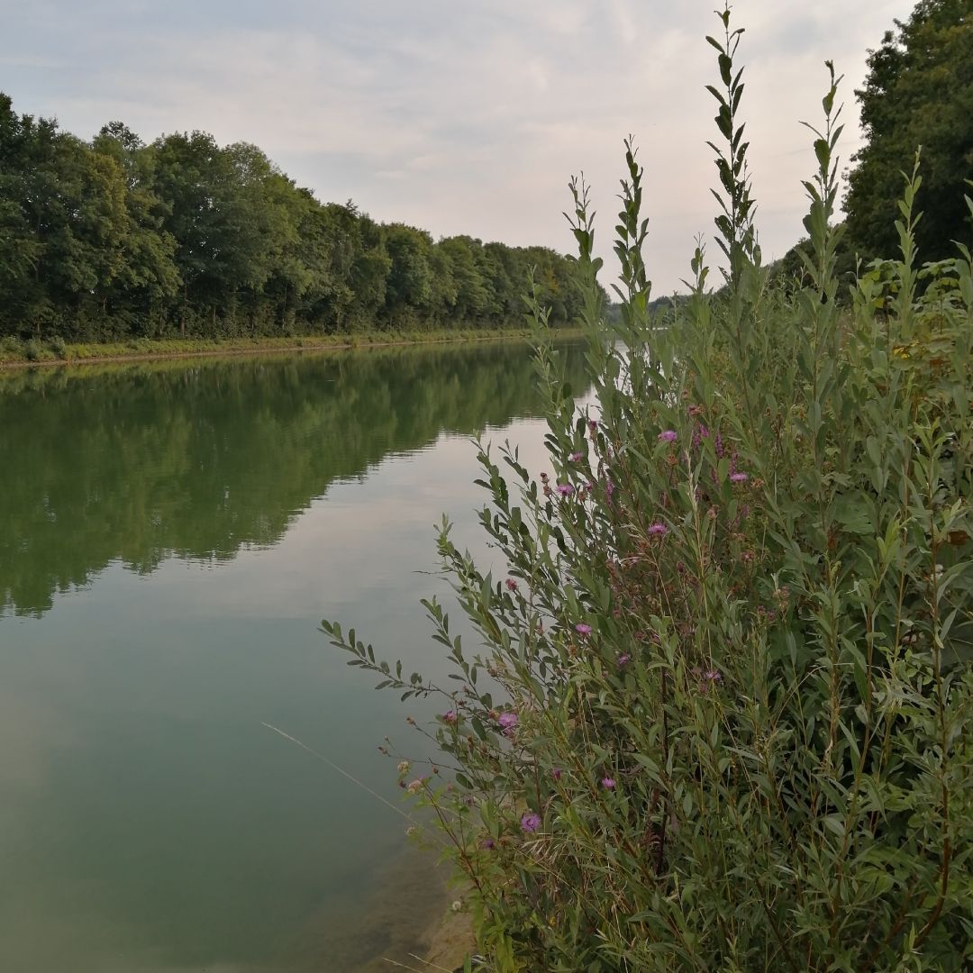 Mittellandkanal (Hespe) angeln