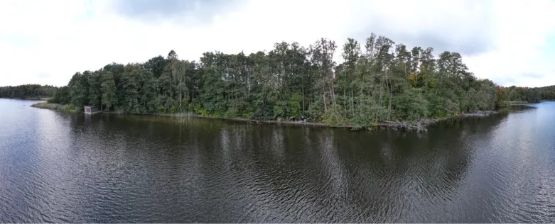 Nebelsee (Mirow)