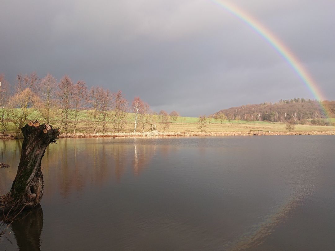 Mittelteich (Hasselfelde) angeln