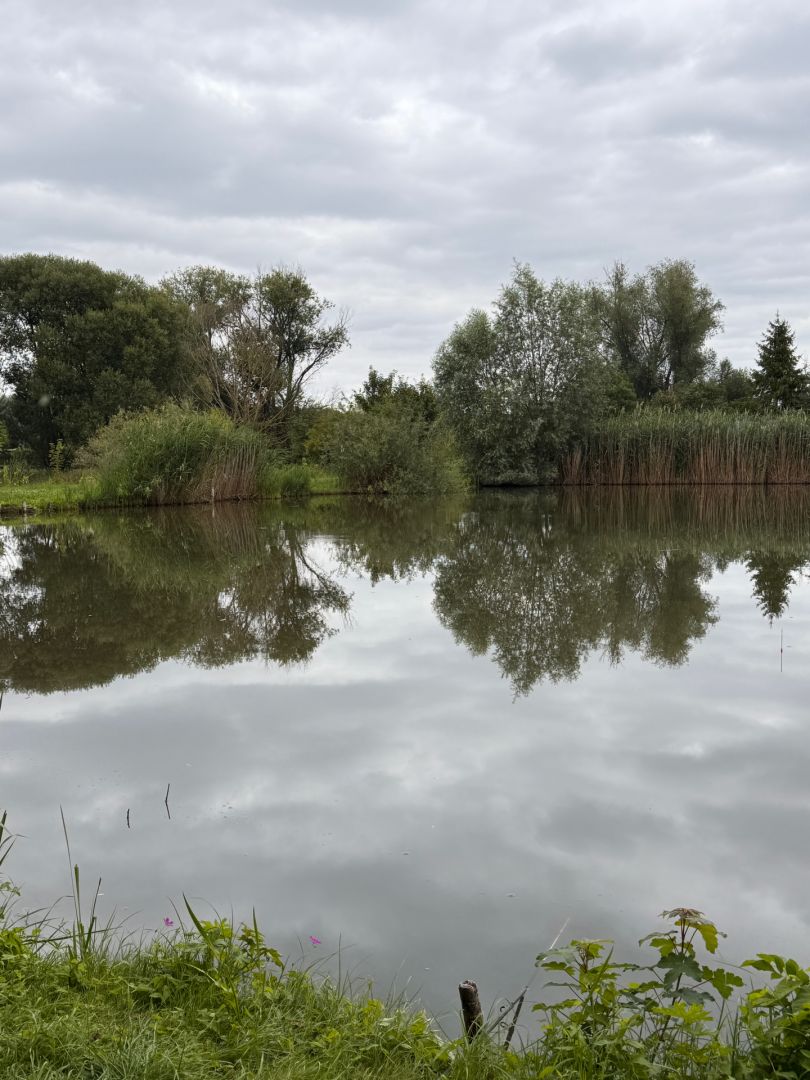 Hofteich (Stedten) angeln