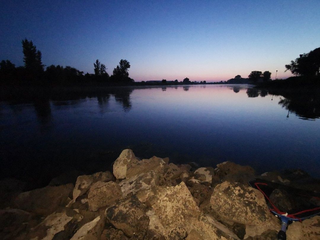 Ijssel (Brummen) angeln