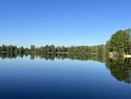 Brandl-Weiher (Manching)
