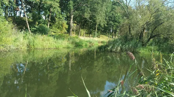 Oker (Schwülper)